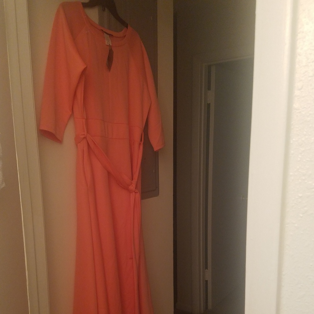 Clothes - Picture 2 of 6